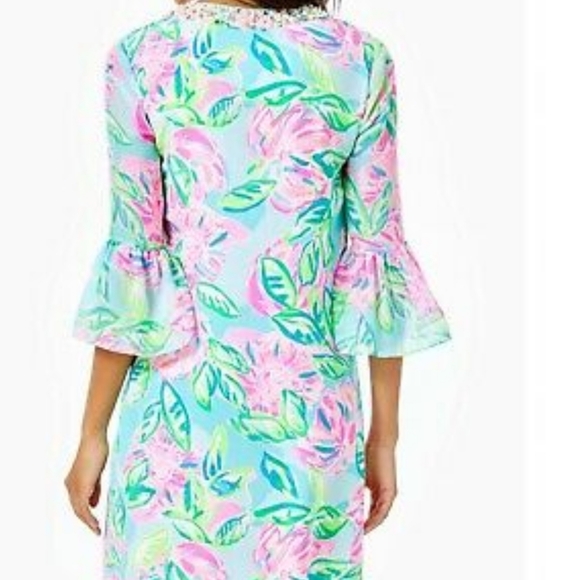 Lilly Pulitzer Dress - Picture 3 of 4